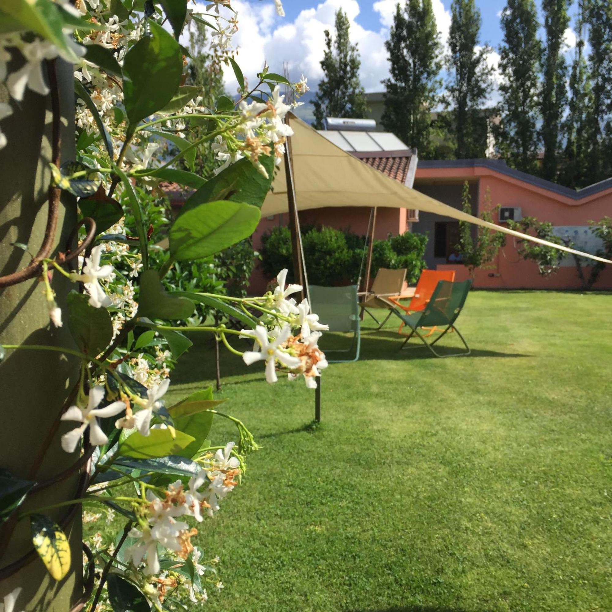 Aliajazz - B&B Hotel - Castrovillari Exterior photo